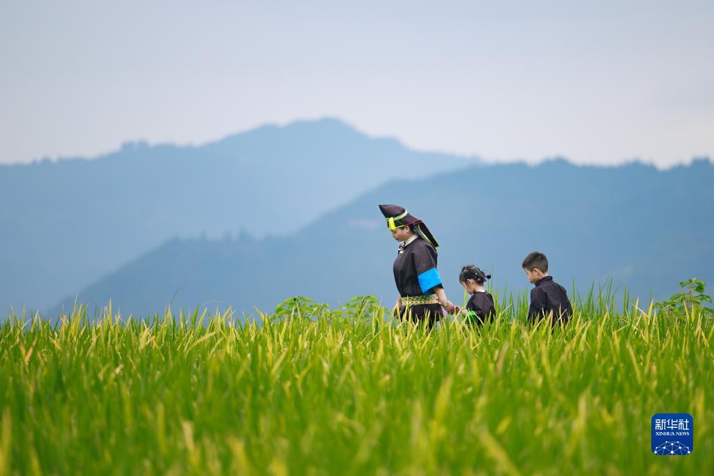 澳门游戏网址